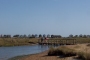 estuary